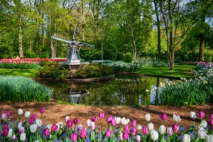 Netherlands: Keukenhof Gardens