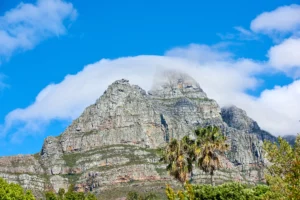 Lions Head South Africa